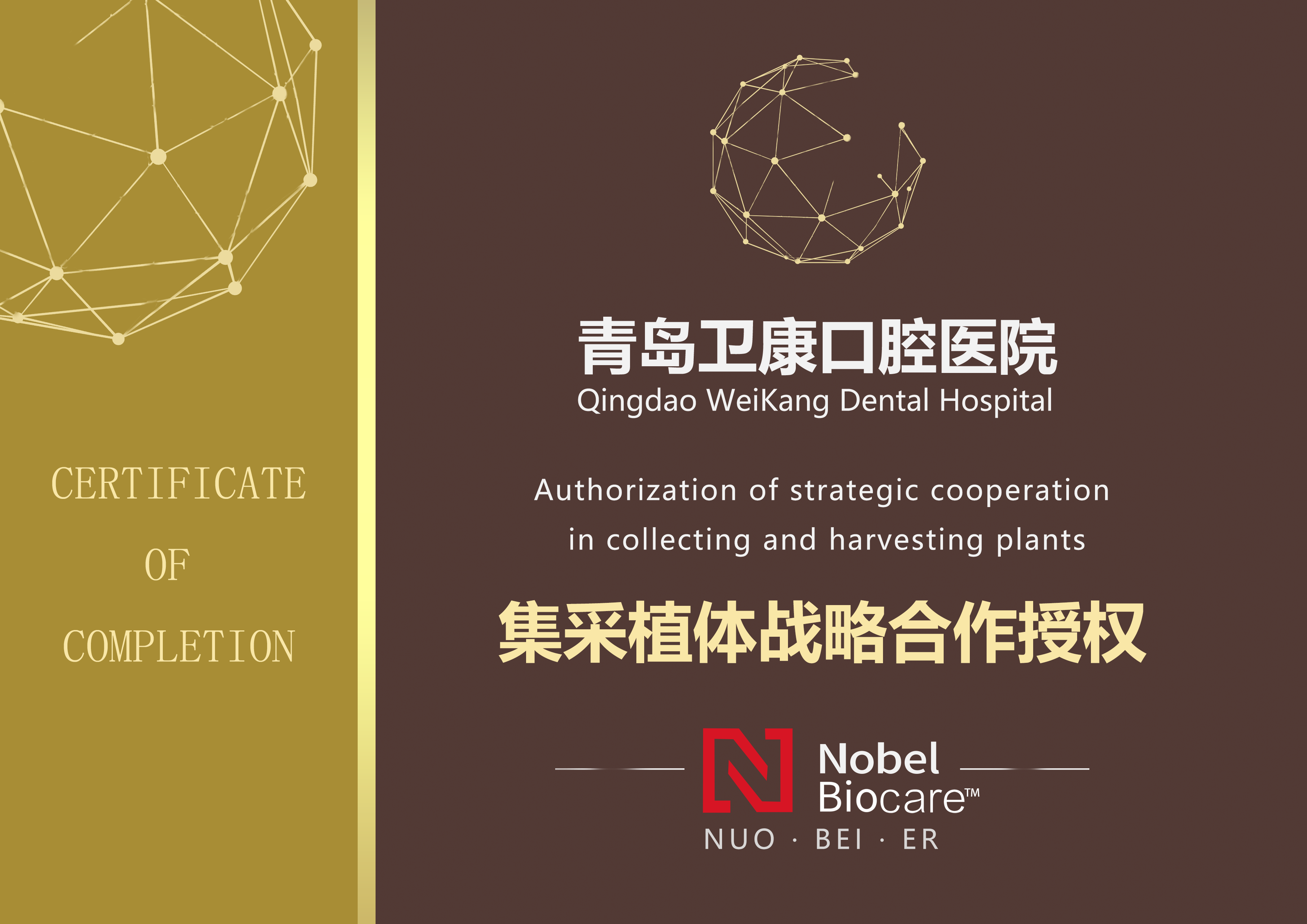 诺贝尔1-品牌授权证书