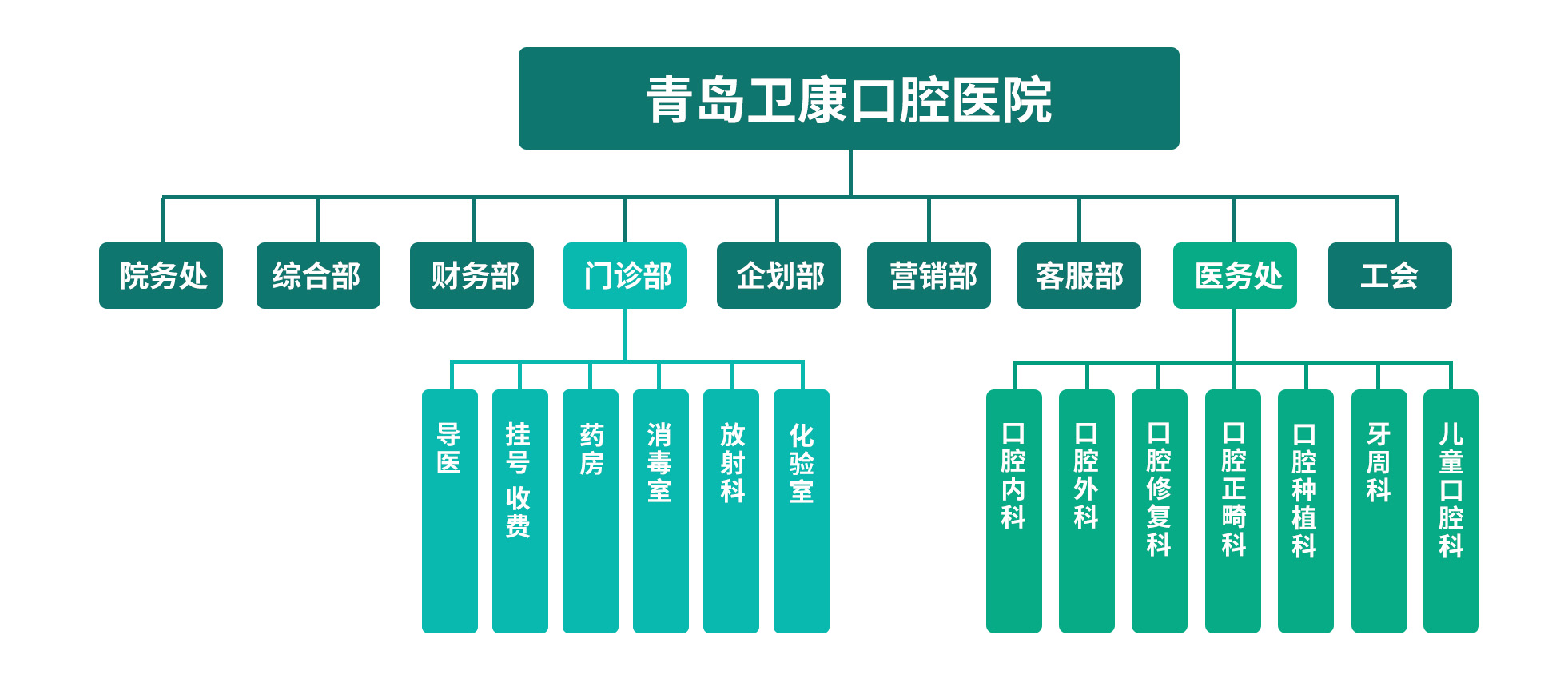 青岛卫康口腔医院组织框架